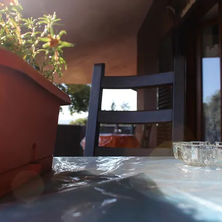 Bed & Breakfast Viale Dei Pini Rocca Priora (Rome)