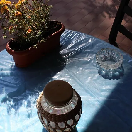 Bed & Breakfast Viale Dei Pini