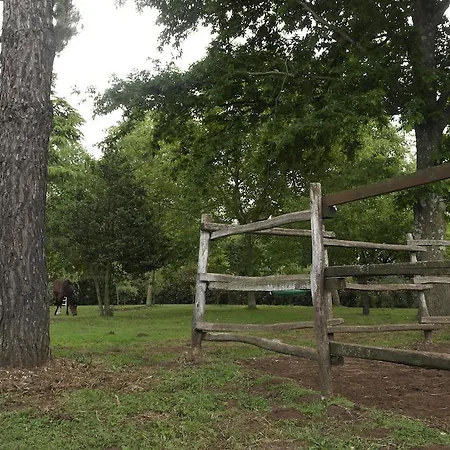 Viale Dei Pini * Rocca Priora (Rome)