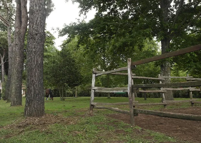 Viale Dei Pini * Rocca Priora (Rome)