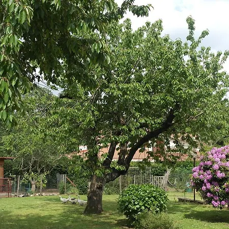 Bed & Breakfast Viale Dei Pini Rocca Priora (Rome)