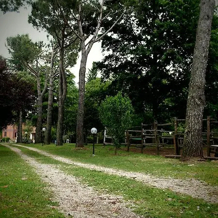 Viale Dei Pini * Rocca Priora (Rome)