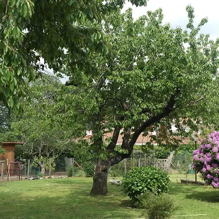 Viale Dei Pini *